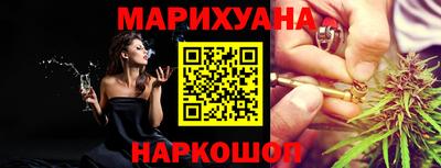 гидра Дубна