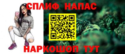 гидра Дубна