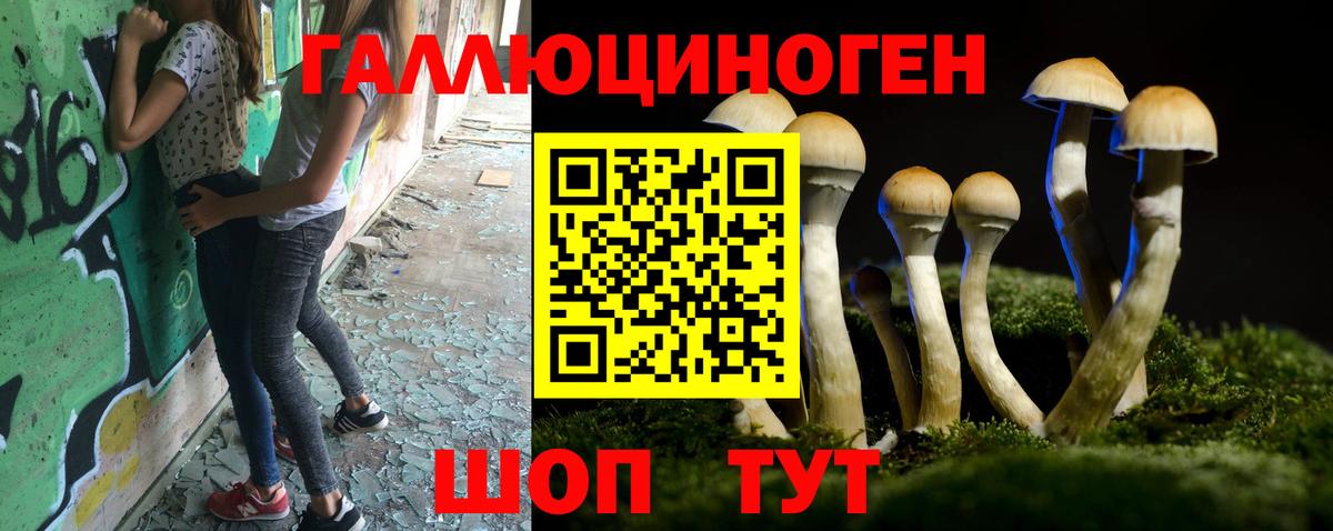 цена   Псилоцибиновые грибы мицелий  Галлюциногенные грибы GOLDEN TEACHER  Вход с VPN  Мончегорск 