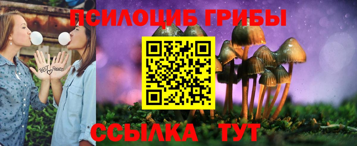 Галлюциногенные грибы Magic Shrooms Мончегорск